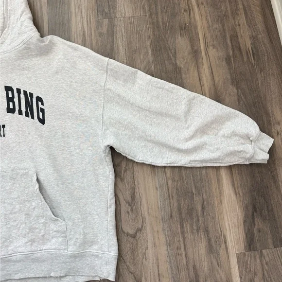 Anine Bing Sport Harvey Sweatshirt Hoodie Medium - Picture 4 of 11